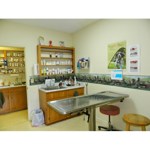 Athens Animal Hospital