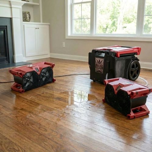 Green State Restoration of Bellingham - Water, Fire, & Mold Damage