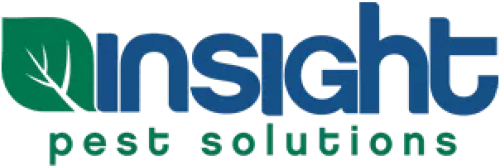 Insight Pest Control Albuquerque