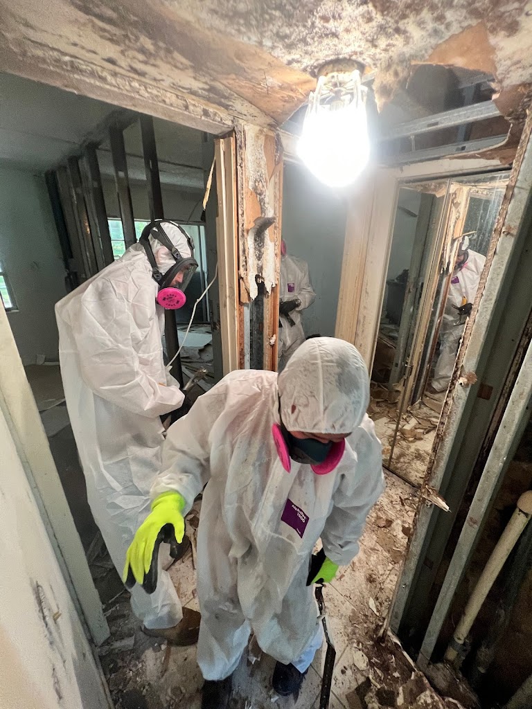Restoration Xperts