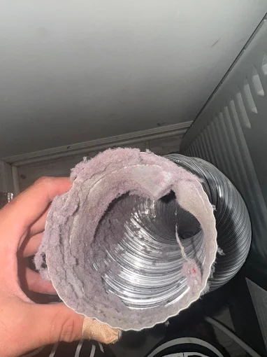 Dryer Vent Bright Solutions