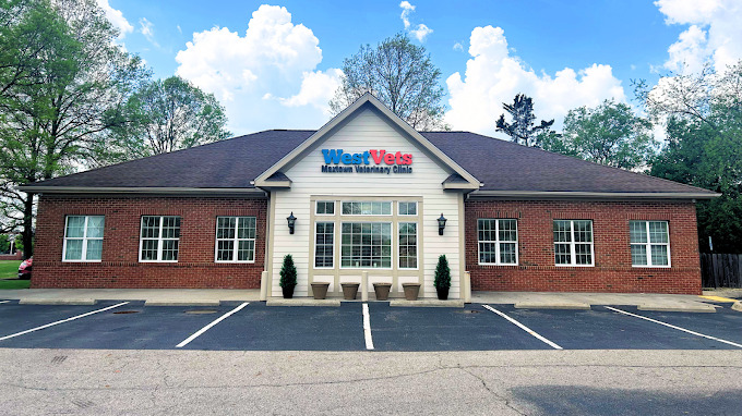 WestVets Maxtown Veterinar Clinic