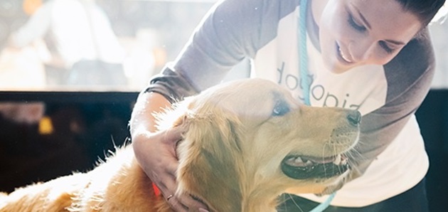 Dogtopia of San Diego - East Village