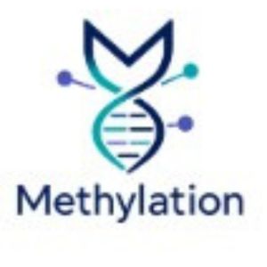 Methylation US