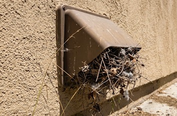 Dryer Vents Master Line Clear