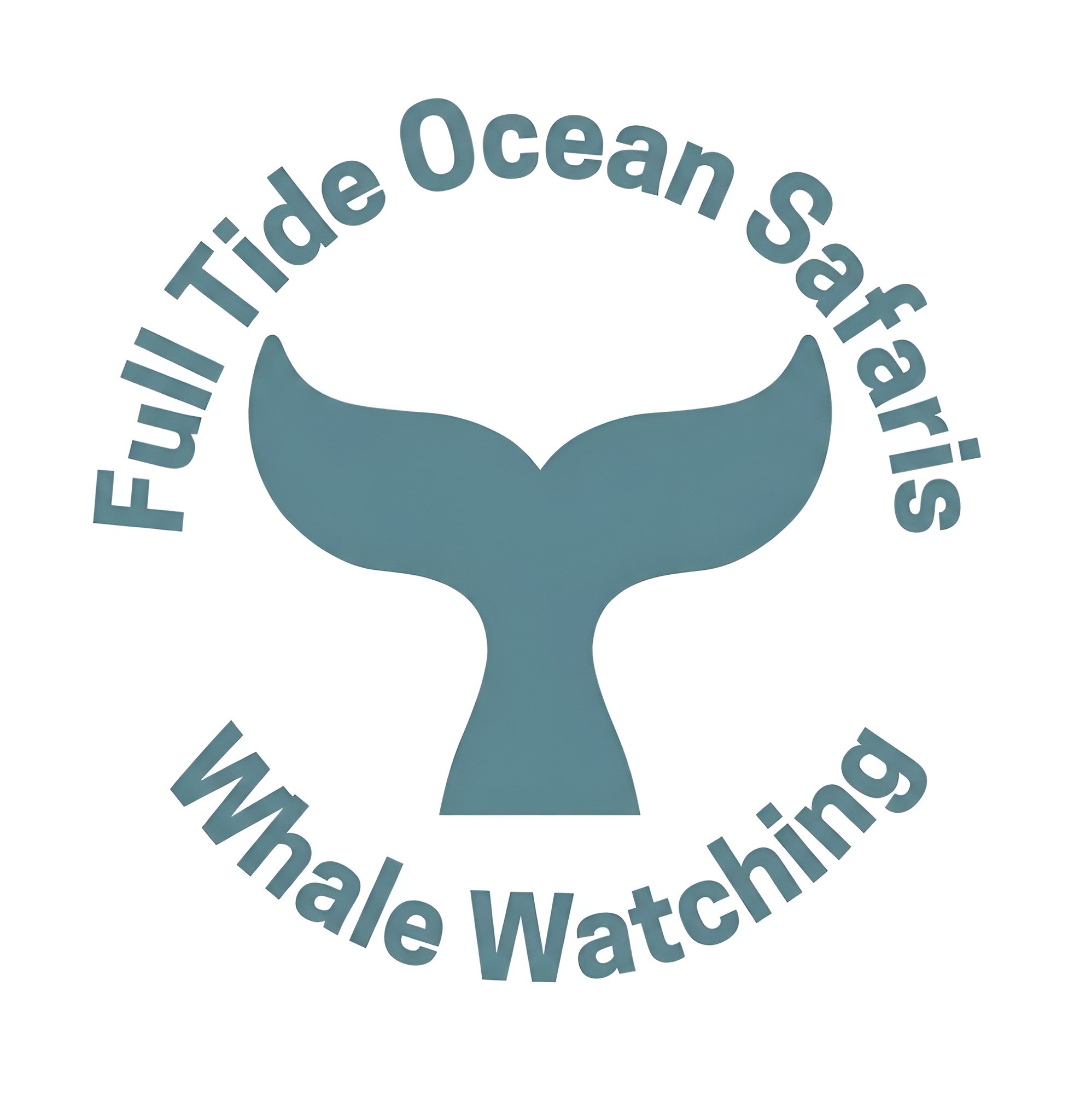 FullTide Ocean Safaris