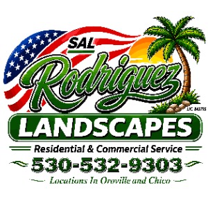 Sal Rodriguez Landscapes