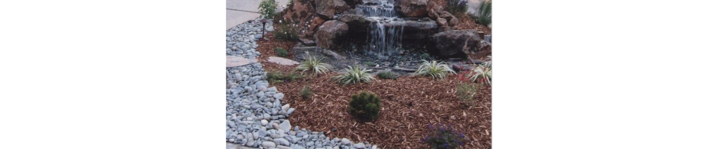 Sal Rodriguez Landscapes