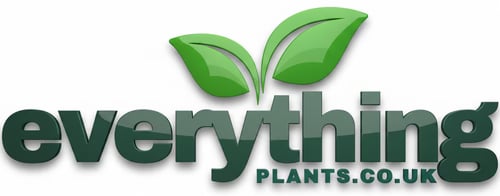 Everything Plants / Bannister Hall Ltd