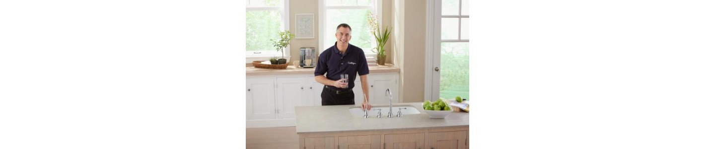 Ising's Culligan Water