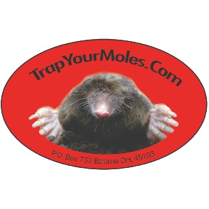 Trap Your Moles