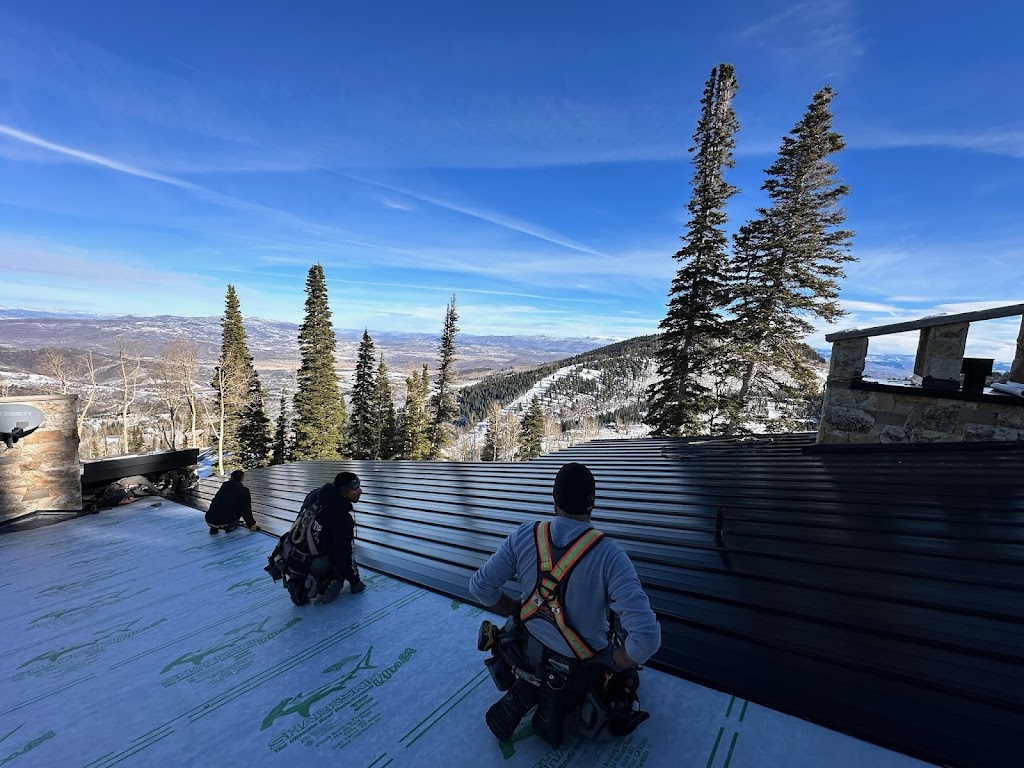 Revive Roofing & Construction