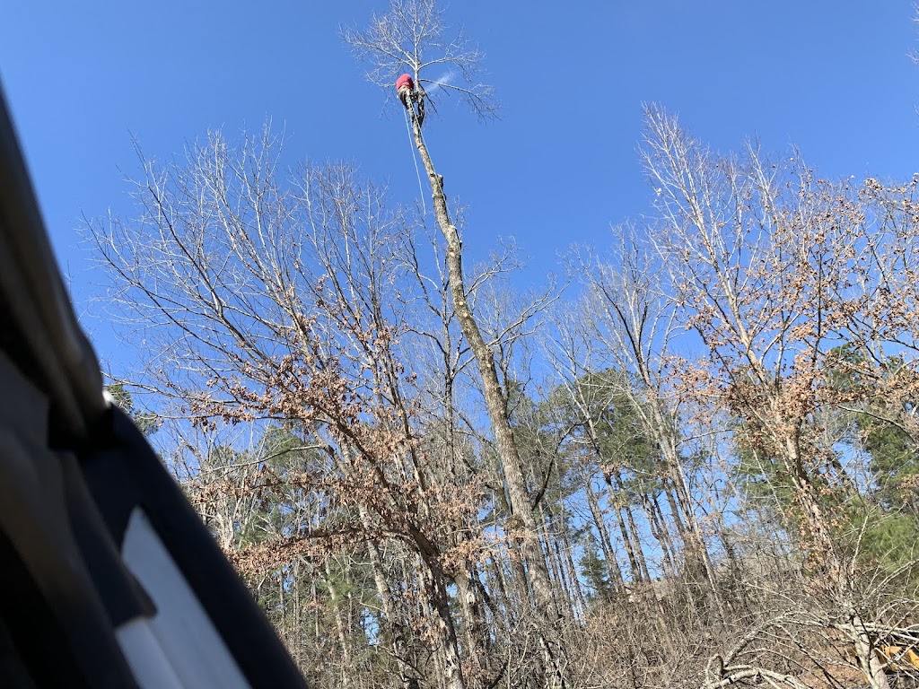 Schmitt Tree Service