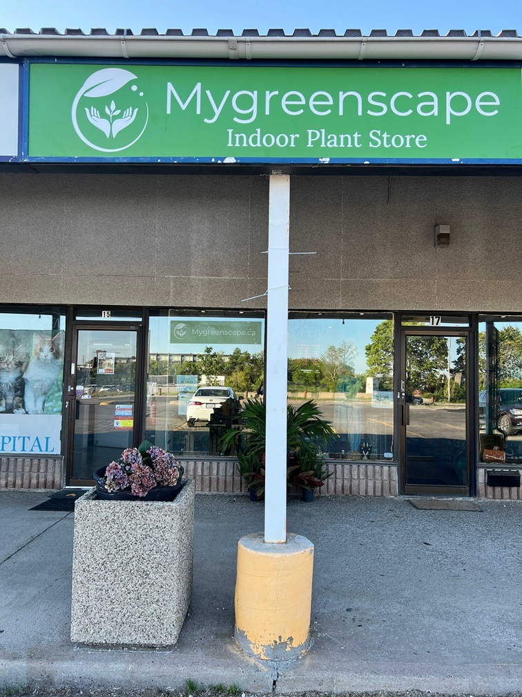 Mygreenscape
