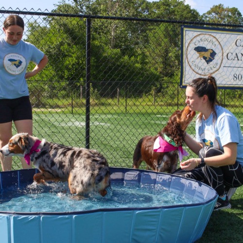 Carolina Canine Club