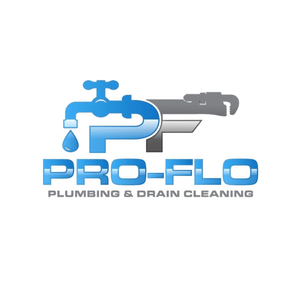 Pro-Flo Plumbing & Drain Cleaning
