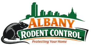 Albany rodent control