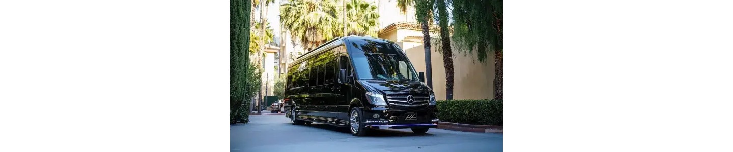 Executive LA Limousine Service