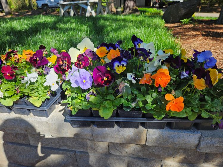 Yard Pro Lawn Care