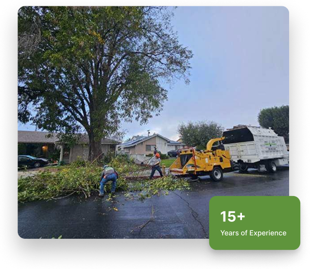 A Sandoval Tree Service