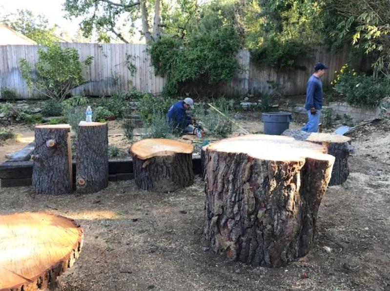 Majestic Tree Company