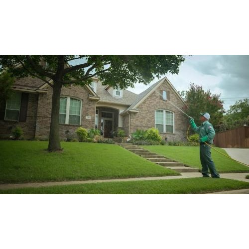 Gecko Green Lawn Care