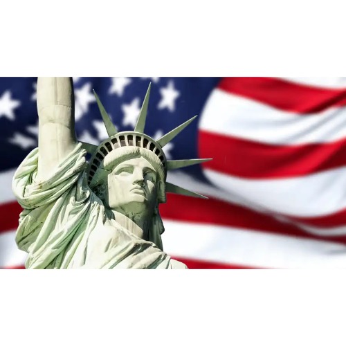 Find Immigration Law