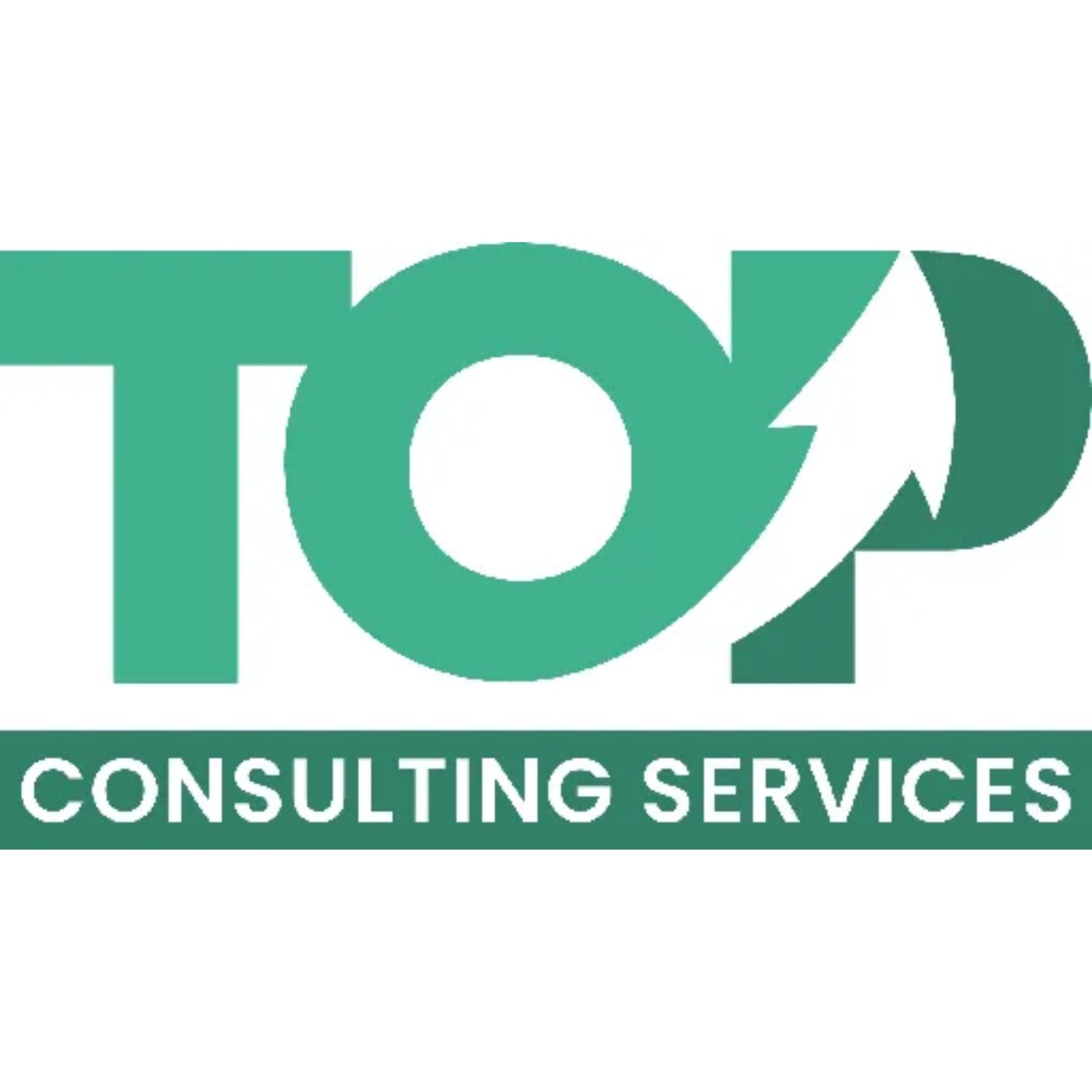 Top Consulting Services LLC