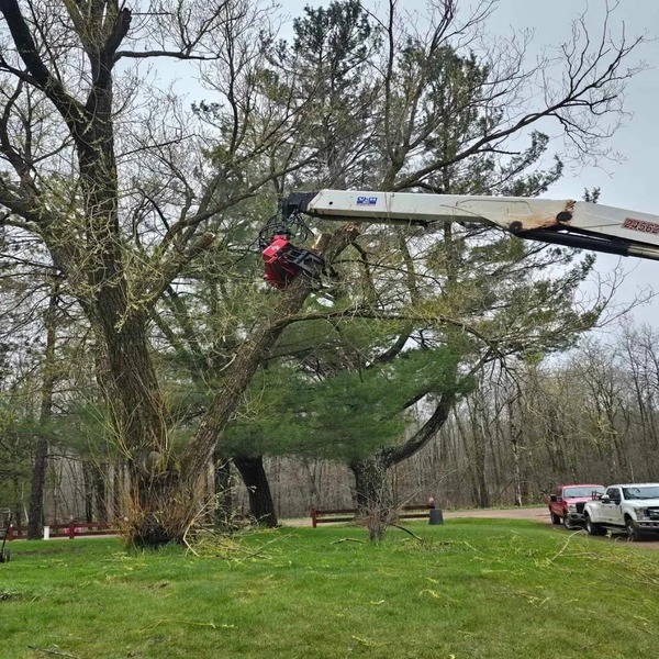 Burnett Land and Tree Services