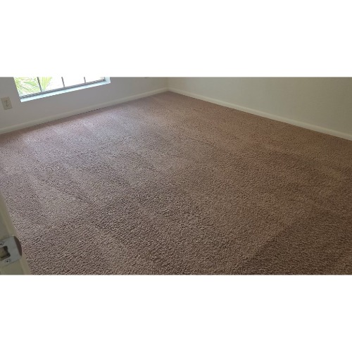 Pristine Carpet Cleaning Pros