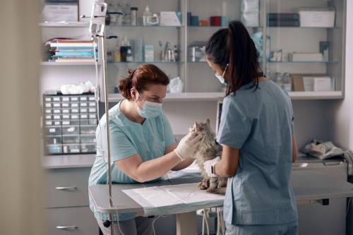 Heritage Animal Hospital, Urgent Care and Surgical Center