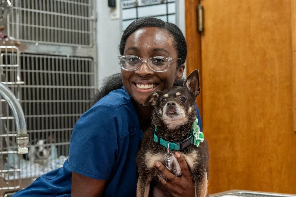 Fox & Friends Animal Hospital