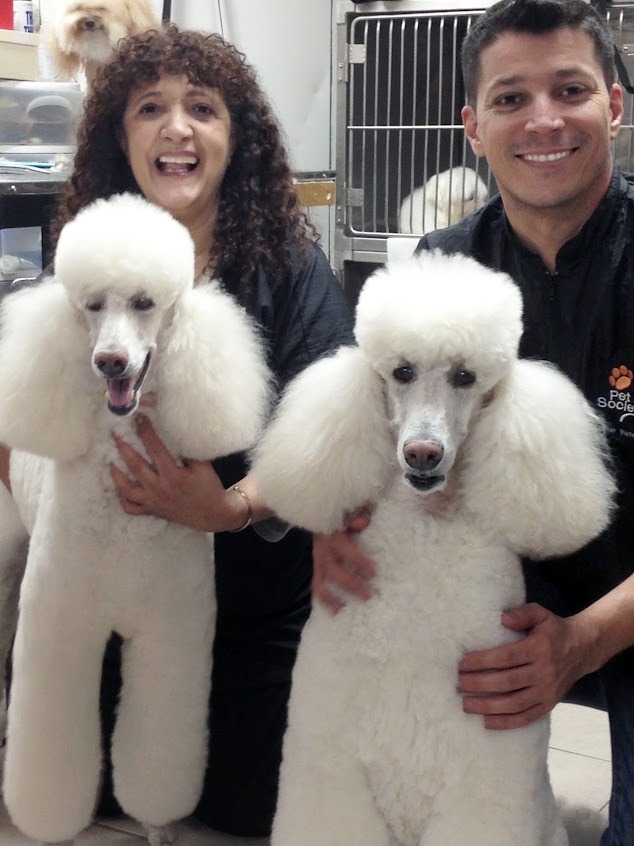 University Animal Hospital