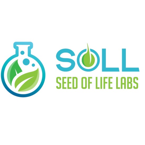 Seed of Life