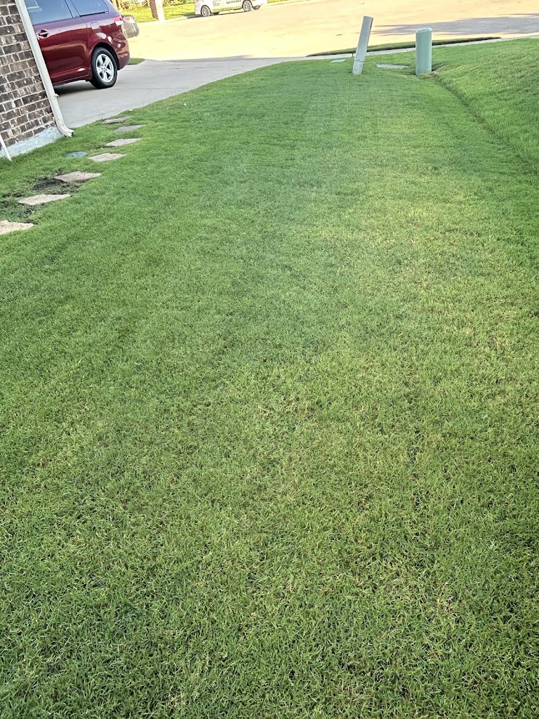 Green Lawn Fertilizing