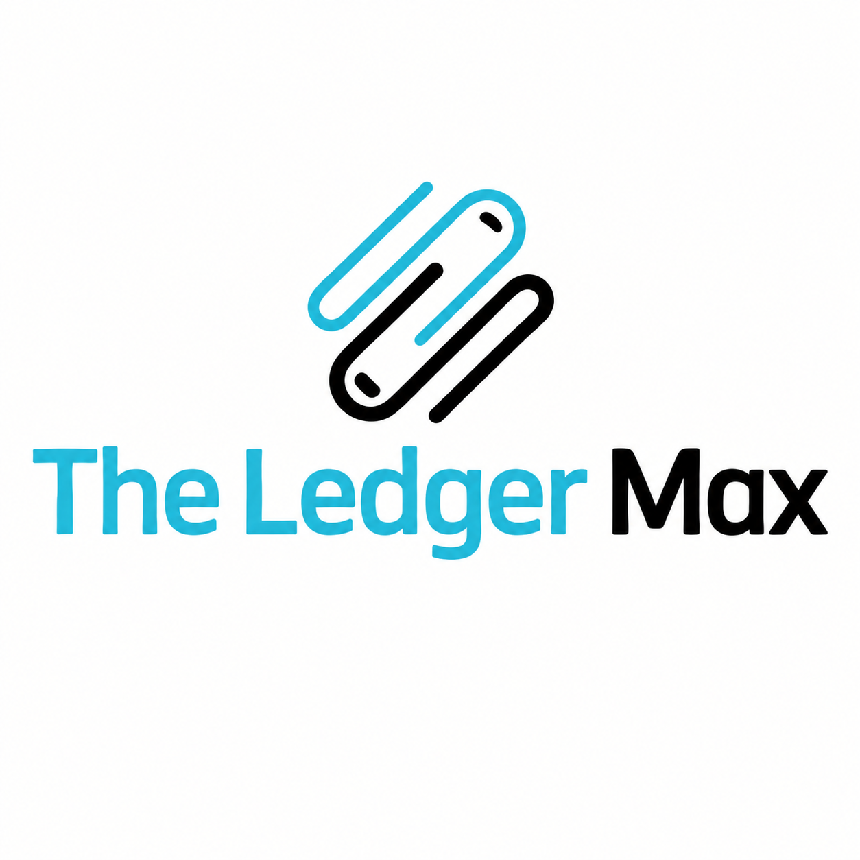 LedgerMax