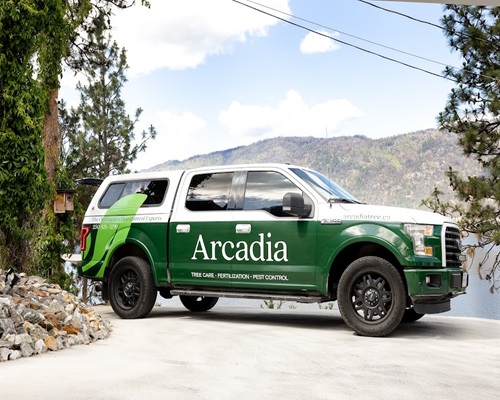 Arcadia Pest Control