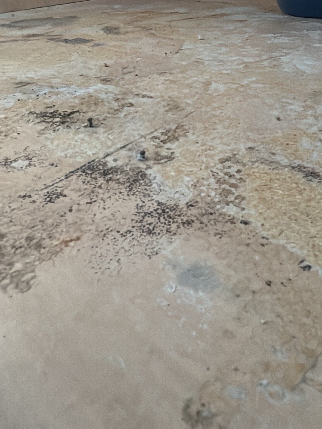 Highwater Restoration