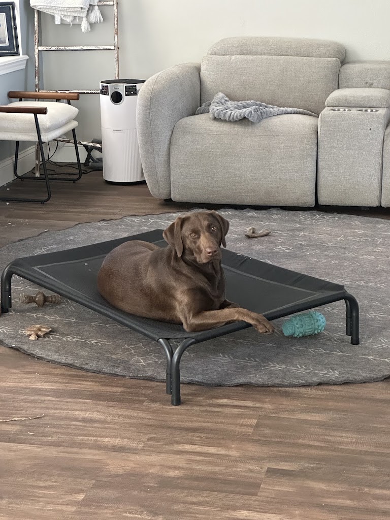 Sit Happens Dog Training First Coast LLC