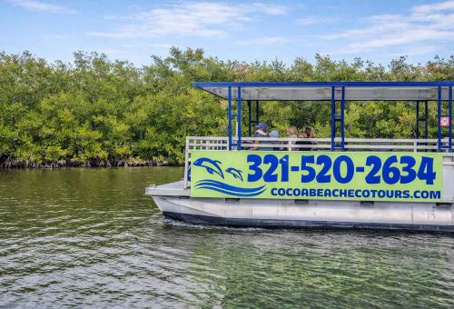Cocoa Beach Eco Tours