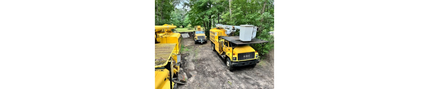 Andy's Tree Service