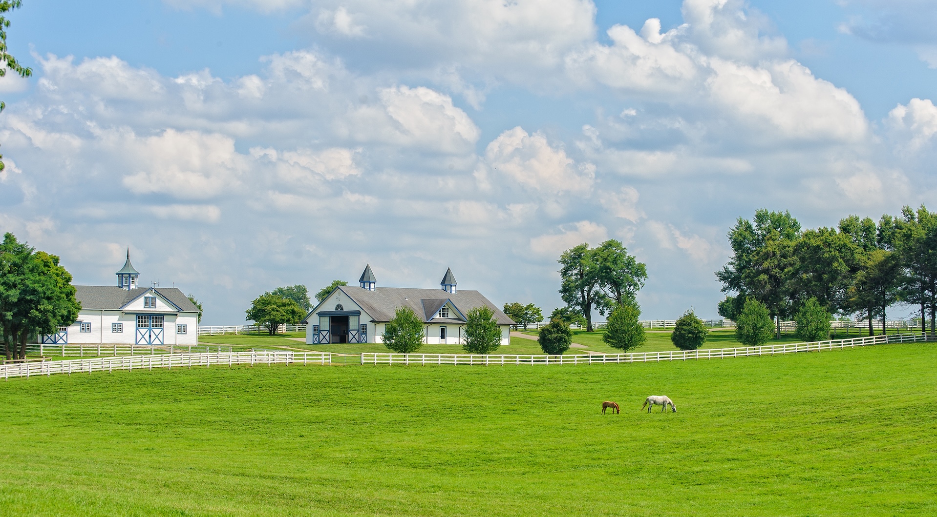 Bluegrass Financial Planning