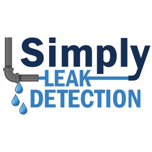 Simply Leak Detection