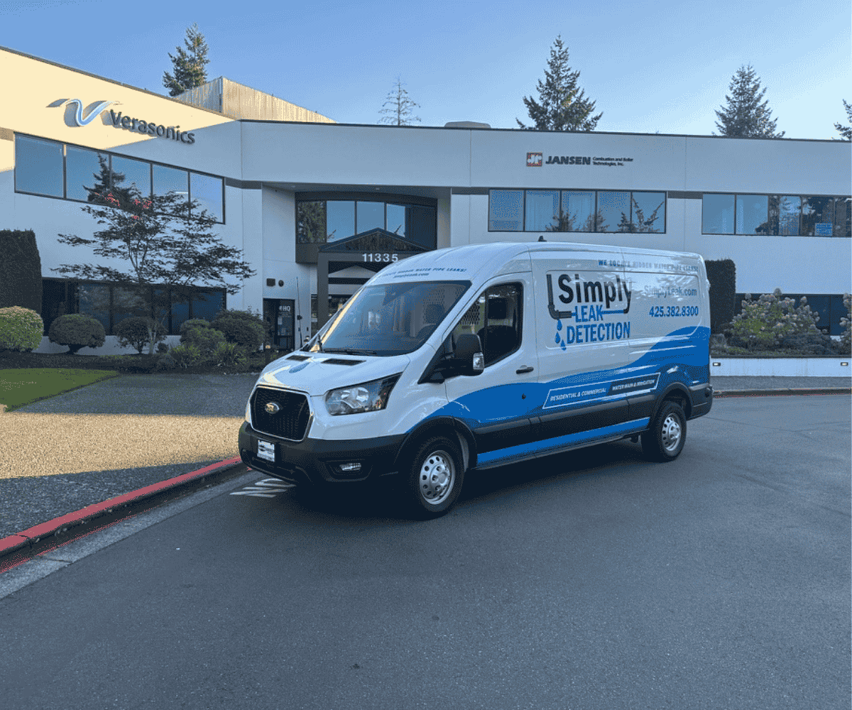 Simply Leak Detection