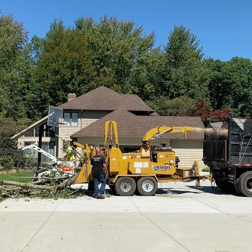 Big Chipper Tree Service