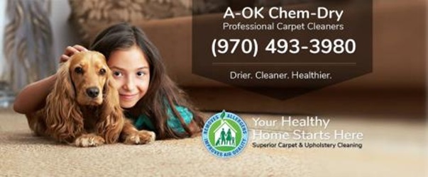 A-OK Chem-Dry Carpet Cleaning
