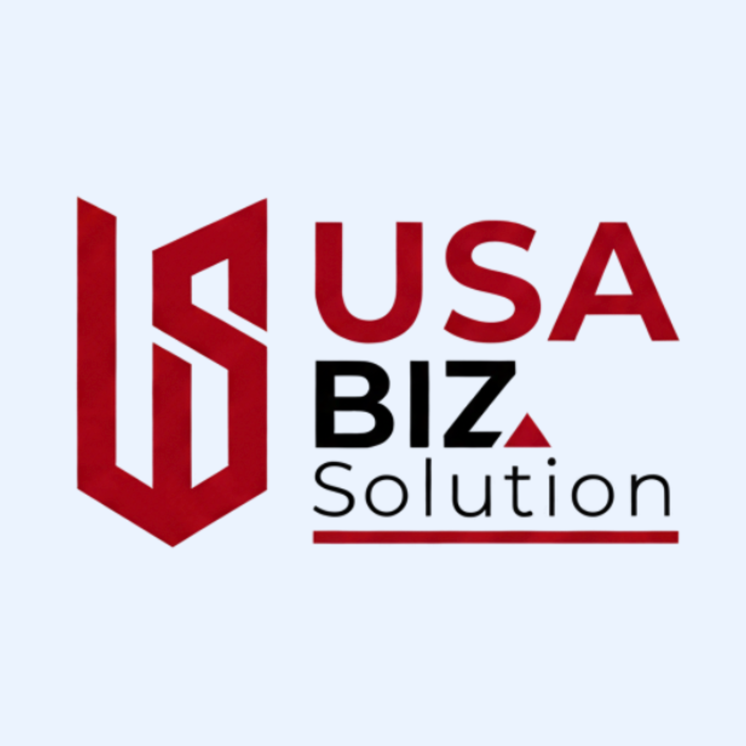 USA Biz Solution