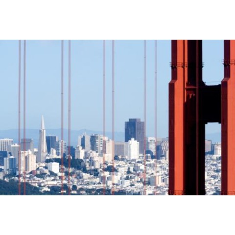 Chapman Law Group, A.P.C.