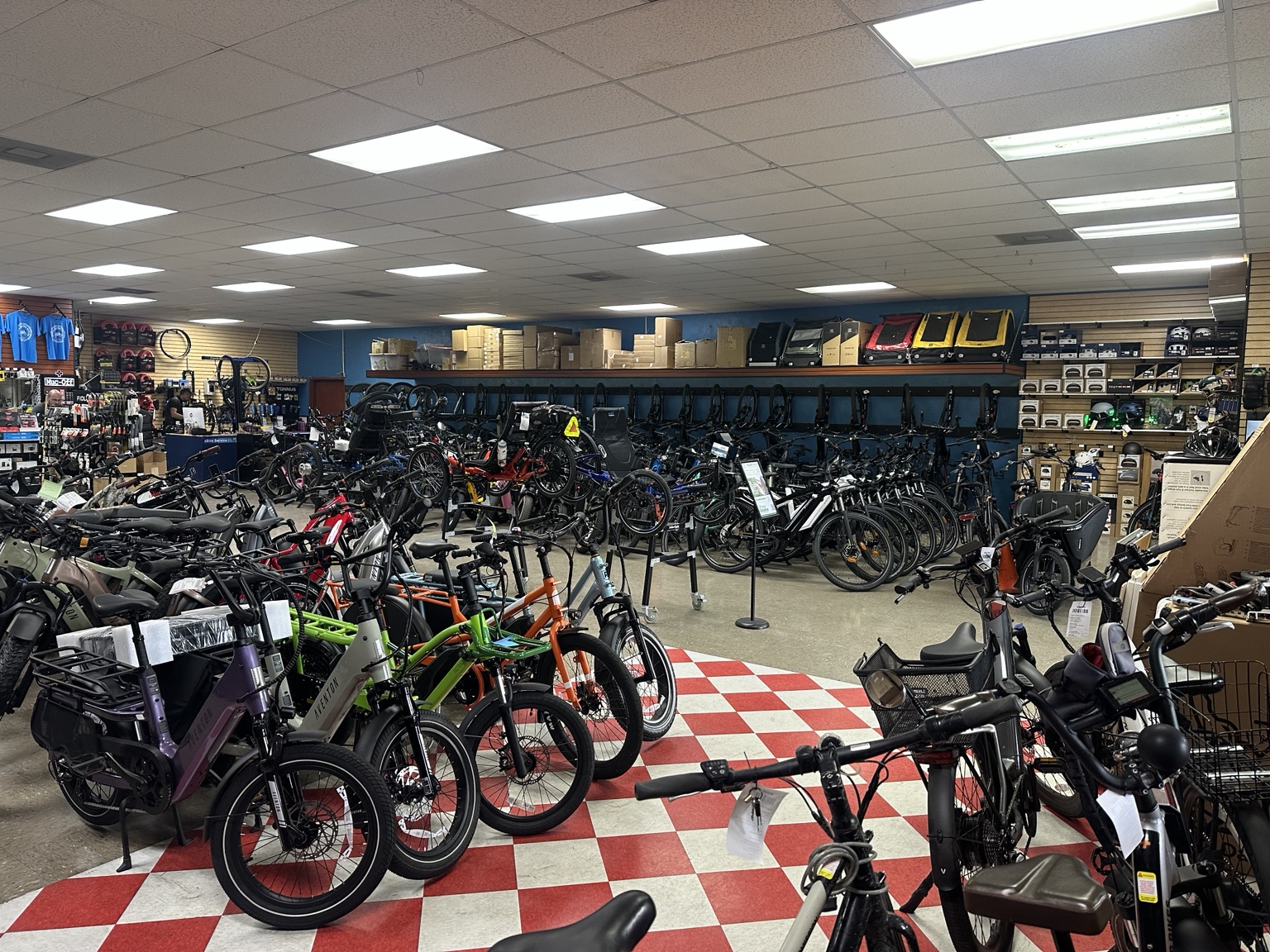 Eugene Electric Bicycles