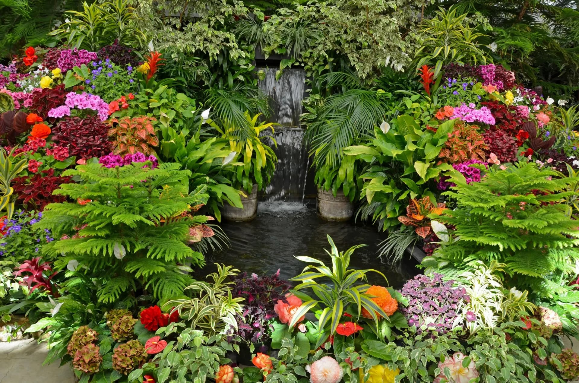 Arbor Tree & Landscape, Inc.